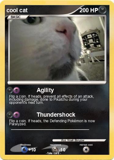 Pokemon cool cat
