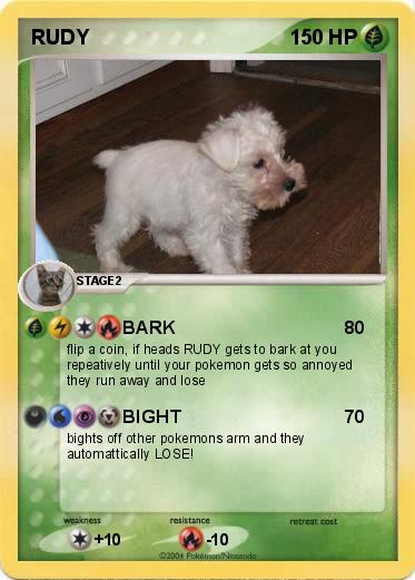 Pokemon RUDY