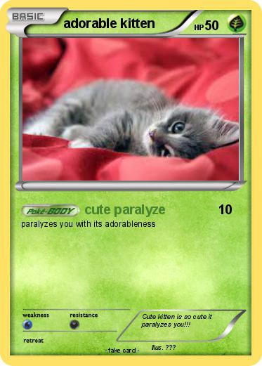 Pokemon adorable kitten