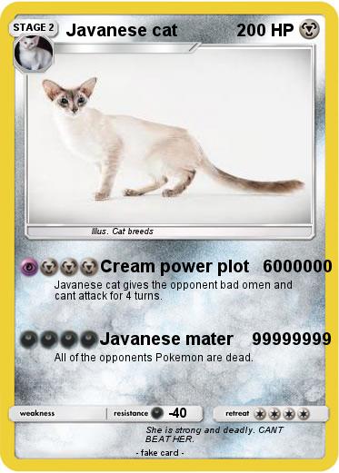 Pokemon Javanese cat
