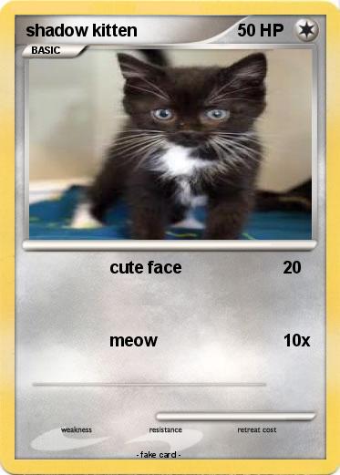 Pokemon shadow kitten