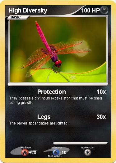 Pokemon High Diversity