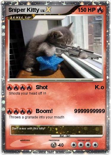 Pokemon Sniper Kitty