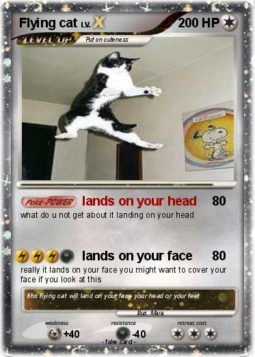Pokemon Flying cat