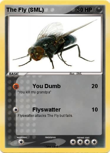 Pokemon The Fly (SML)
