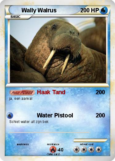 Pokemon Wally Walrus