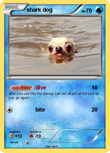 Pokemon shark dog
