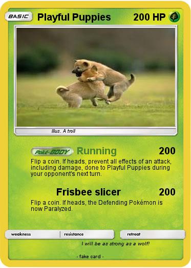 Pokemon Playful Puppies