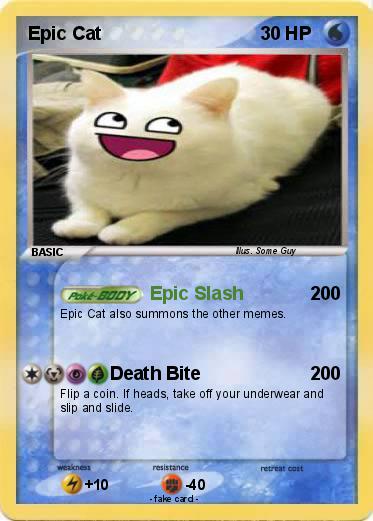 Pokemon Epic Cat