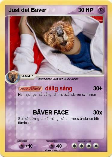 Pokemon Just det Bäver