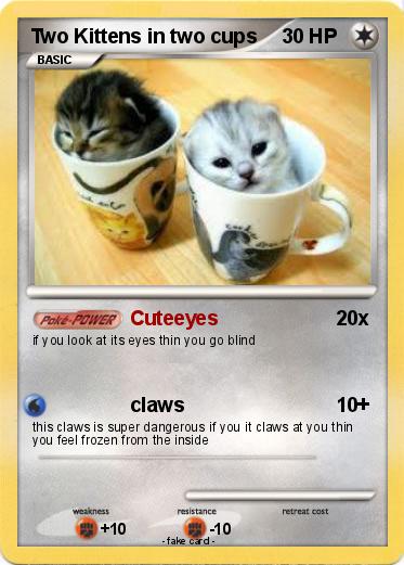 Pokemon Two Kittens in two cups