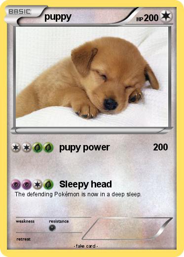 Pokemon puppy