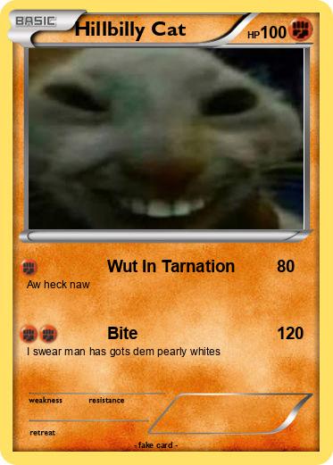 Pokemon Hillbilly Cat