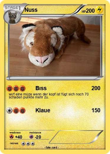 Pokemon Nuss