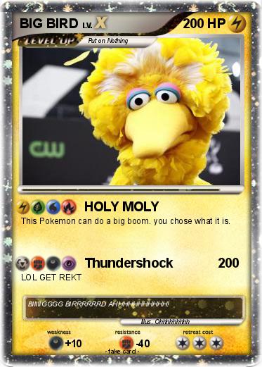 Pokemon BIG BIRD