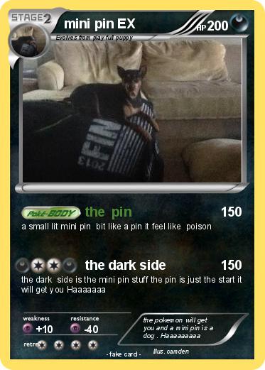 Pokemon mini pin EX