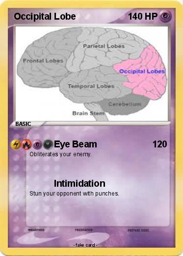 Pokemon Occipital Lobe