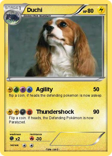 Pokemon Duchi
