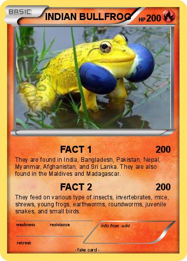 Pokemon INDIAN BULLFROG