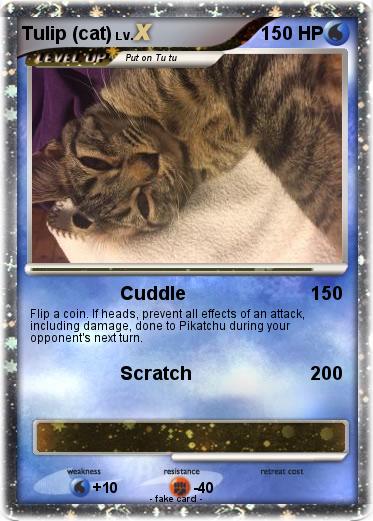 Pokemon Tulip (cat)