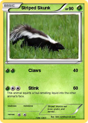 Pokemon Striped Skunk