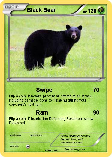 Pokemon Black Bear
