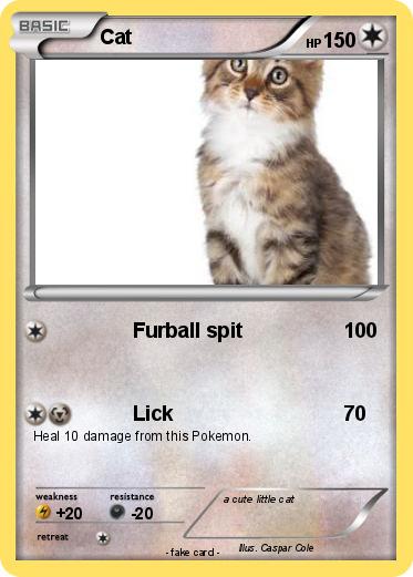 Pokemon Cat