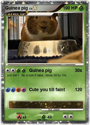 Pokemon Guinea pig