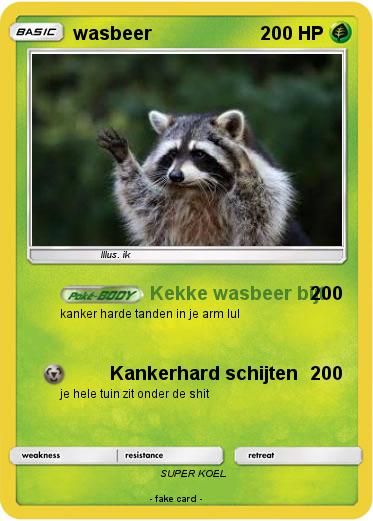 Pokemon wasbeer