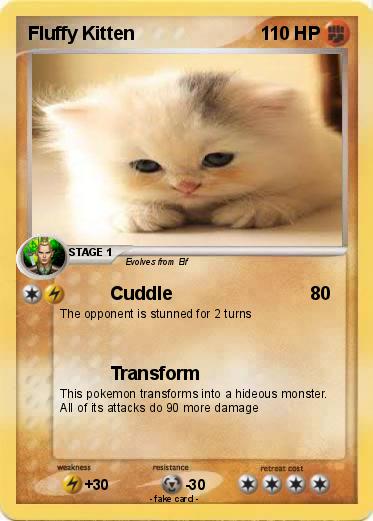 Pokemon Fluffy Kitten