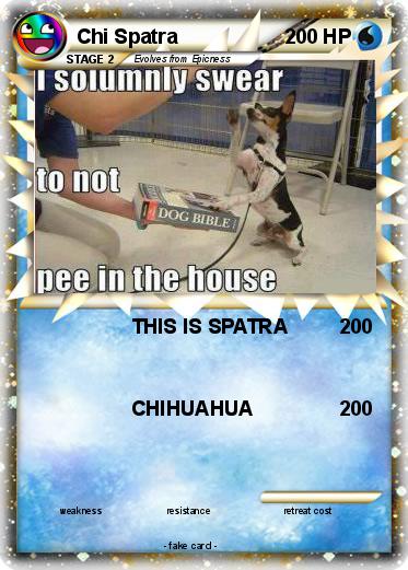Pokemon Chi Spatra