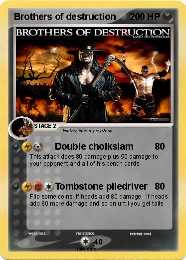 Pokemon Brothers of destruction