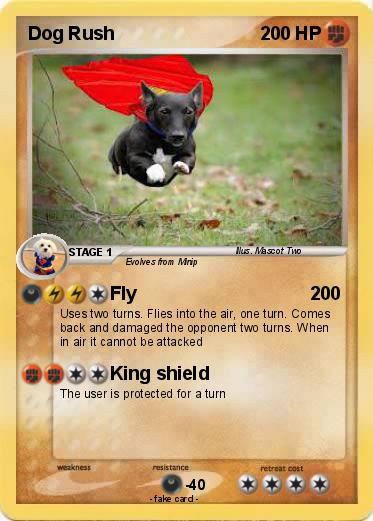 Pokemon Dog Rush