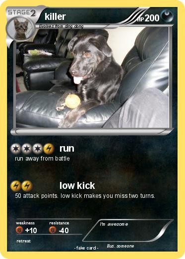 Pokemon killer