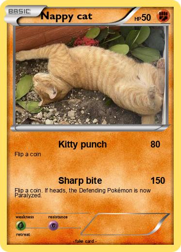 Pokemon Nappy cat