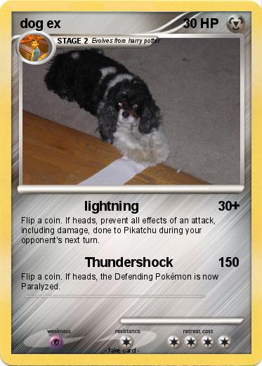 Pokemon dog ex