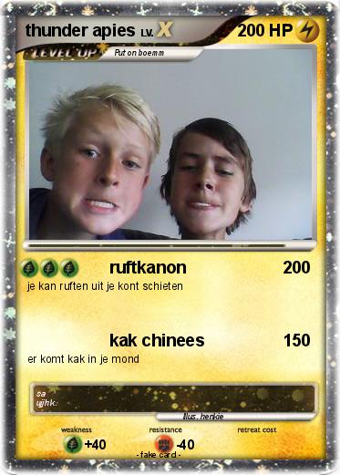 Pokemon thunder apies