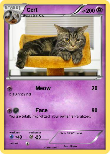 Pokemon Cert