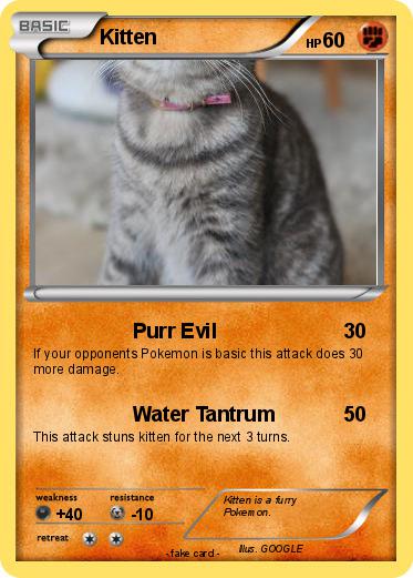 Pokemon Kitten
