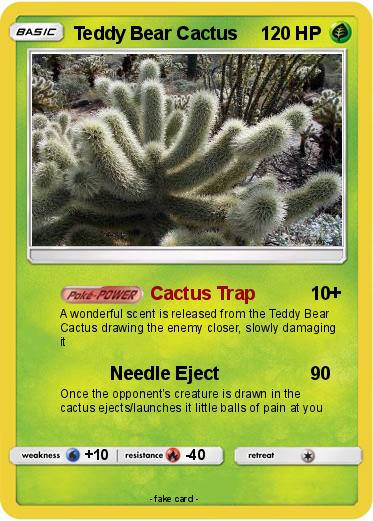 Pokemon Teddy Bear Cactus