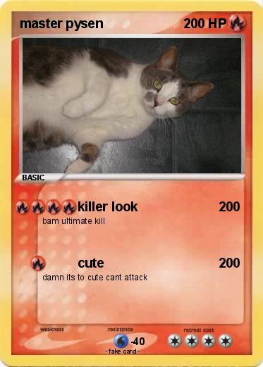 Pokemon master pysen