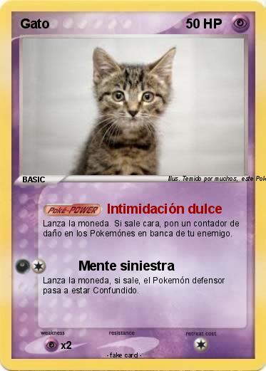 Pokemon Gato