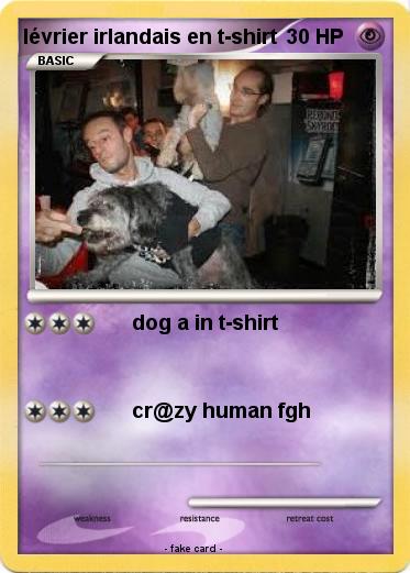 Pokemon lévrier irlandais en t-shirt