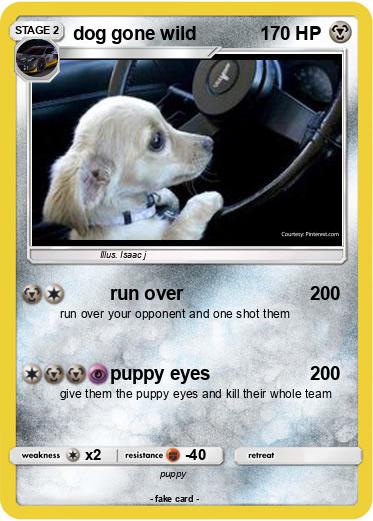 Pokemon dog gone wild