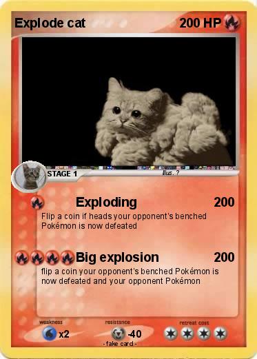 Pokemon Explode cat