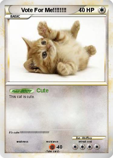 Pokemon Vote For Me!!!!!!!!