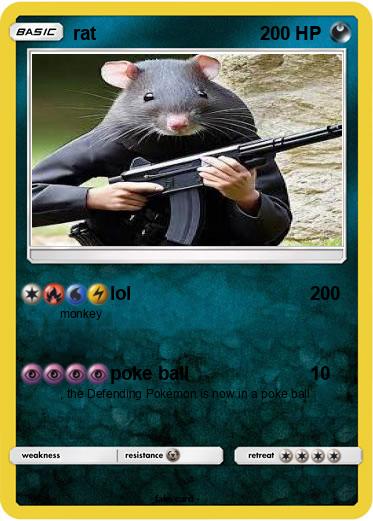 Pokemon rat