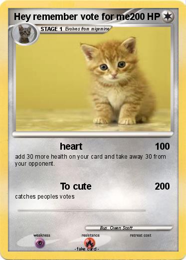 Pokemon Hey remember vote for me.