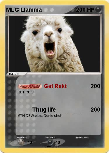 Pokemon MLG Llamma