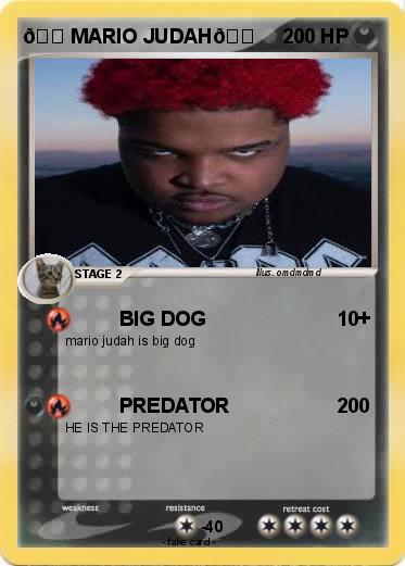 Pokemon ?MARIO JUDAH?
